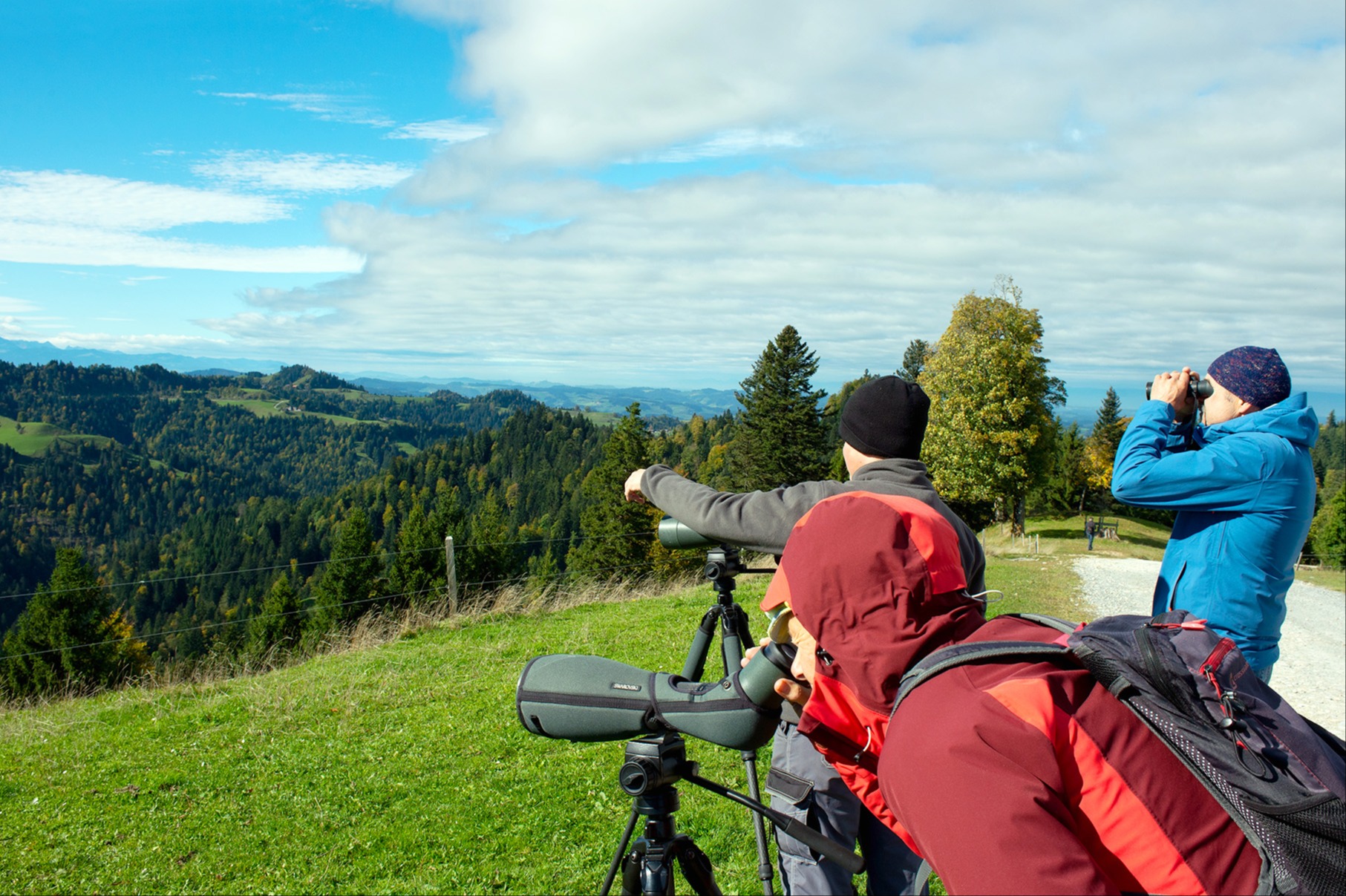 Die lange Reise der Zugvögel