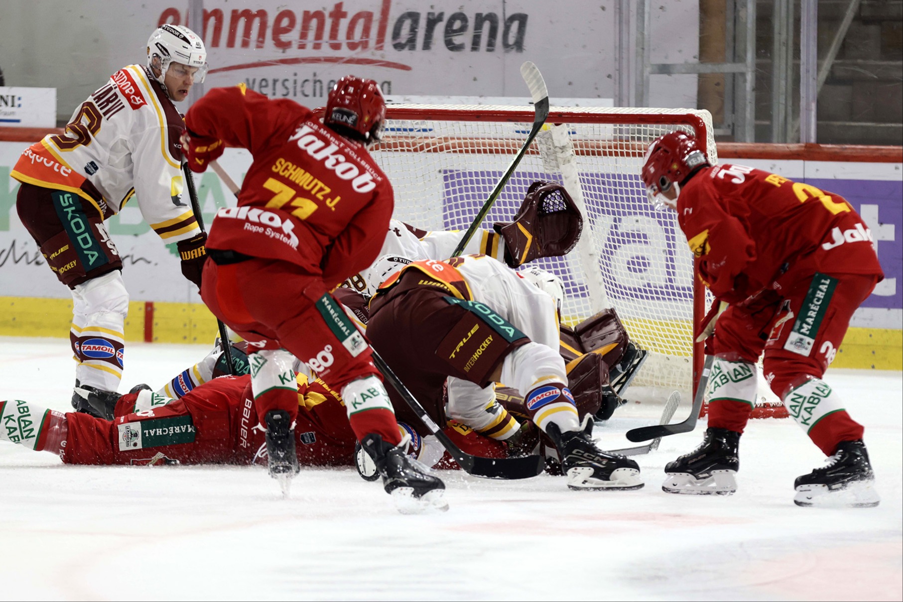  SCL Tigers in Zahlen