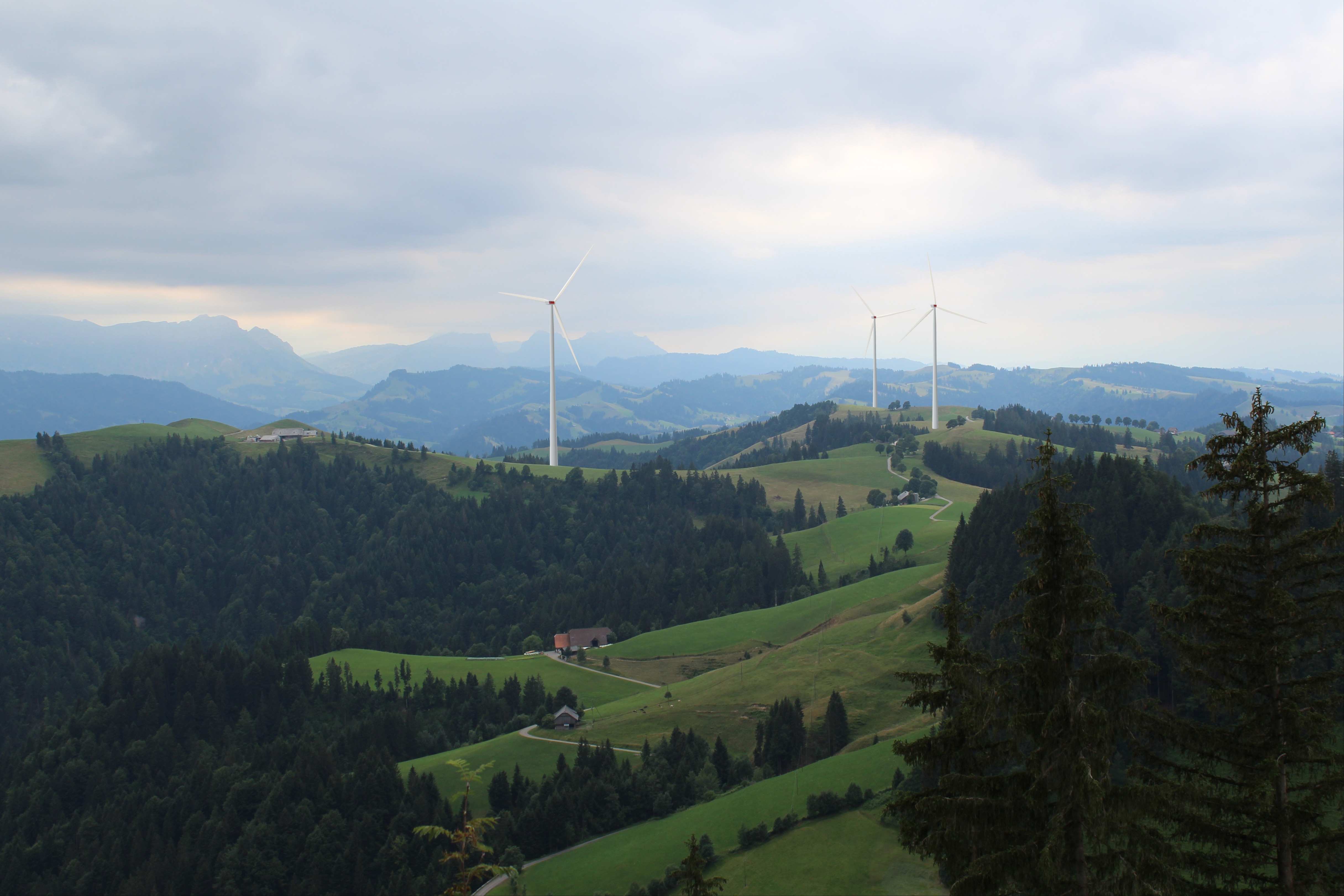 Die Mühlen der Bürokratie bremsen die Windräder auf dem Bock