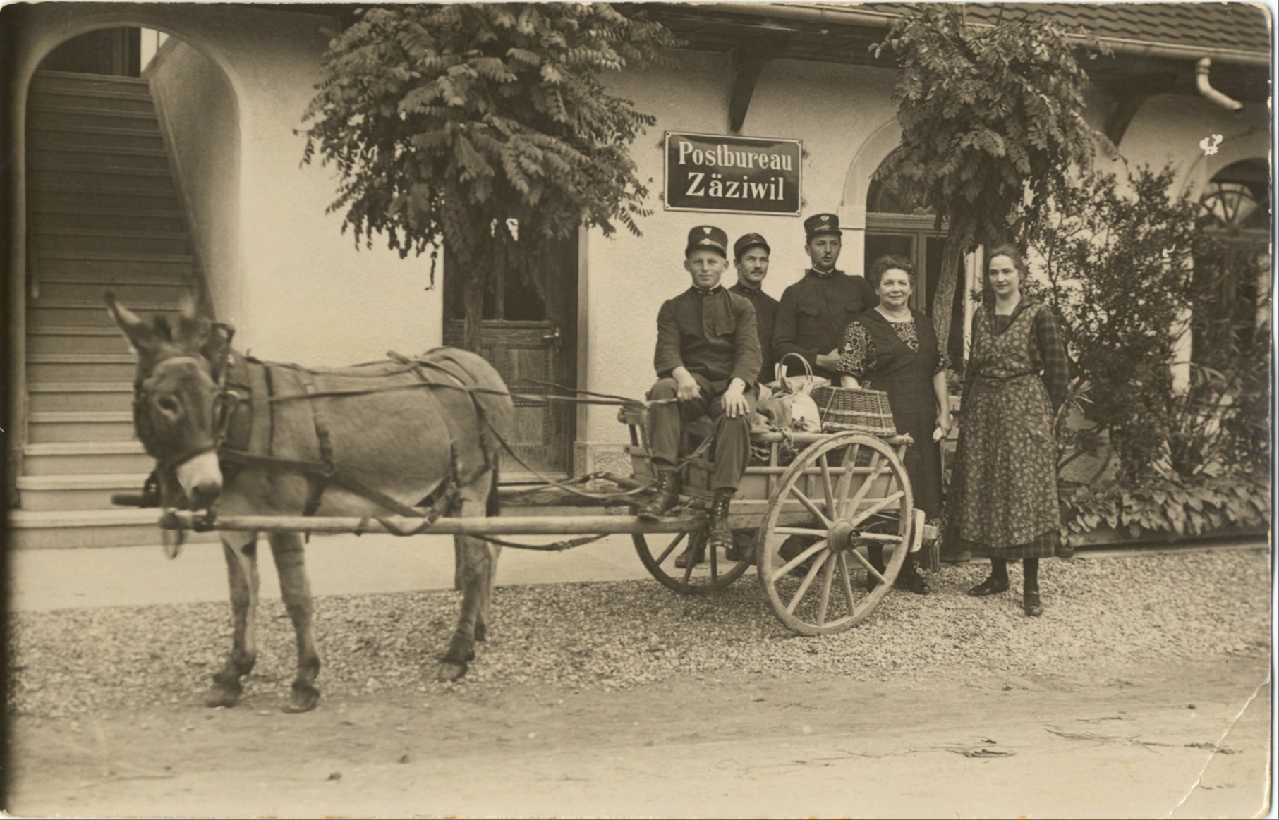 Den Postesel  eingespannt