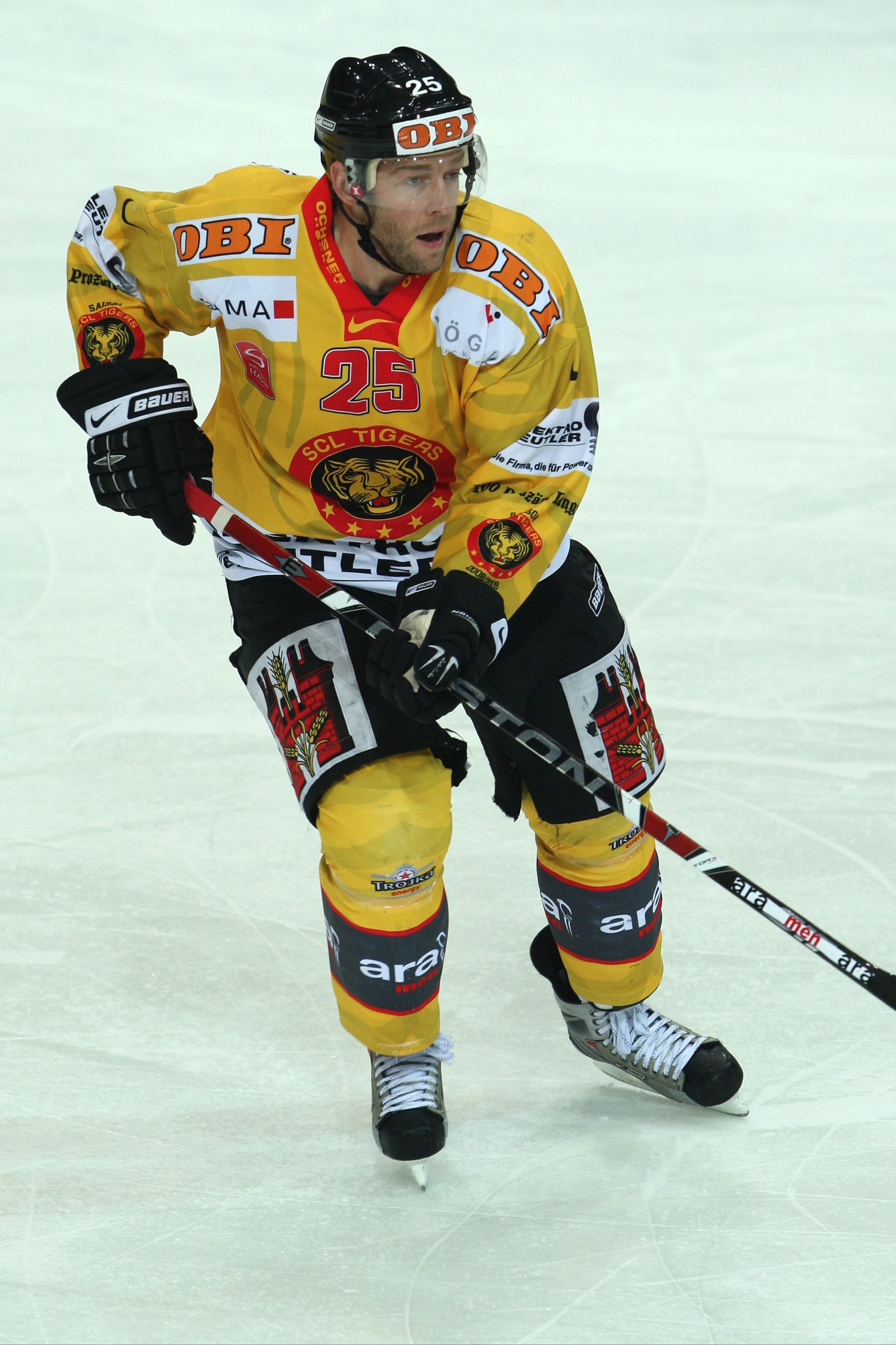  SCL Tigers Rückspiegel