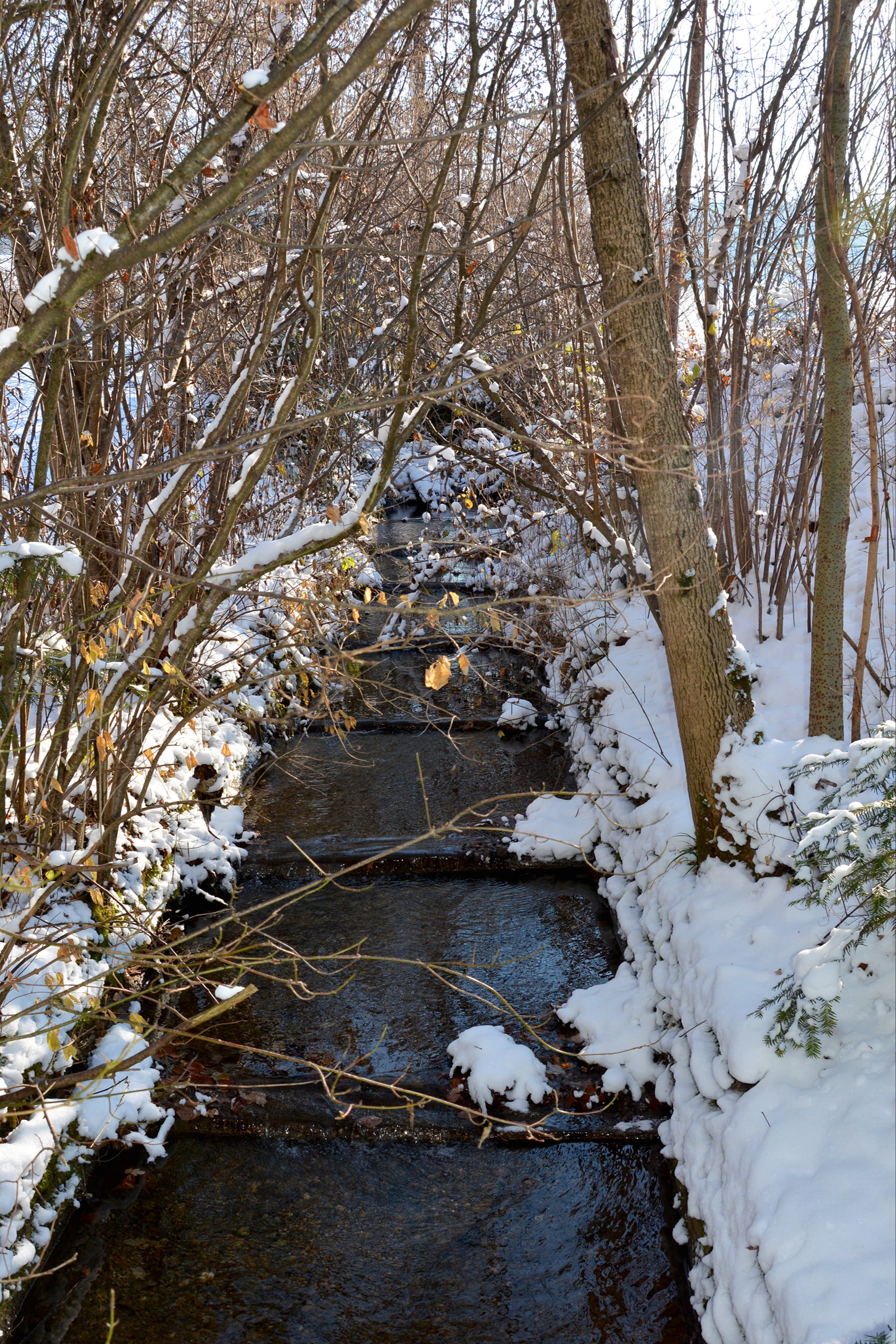 Den Gropbach verbauen und revitalisieren