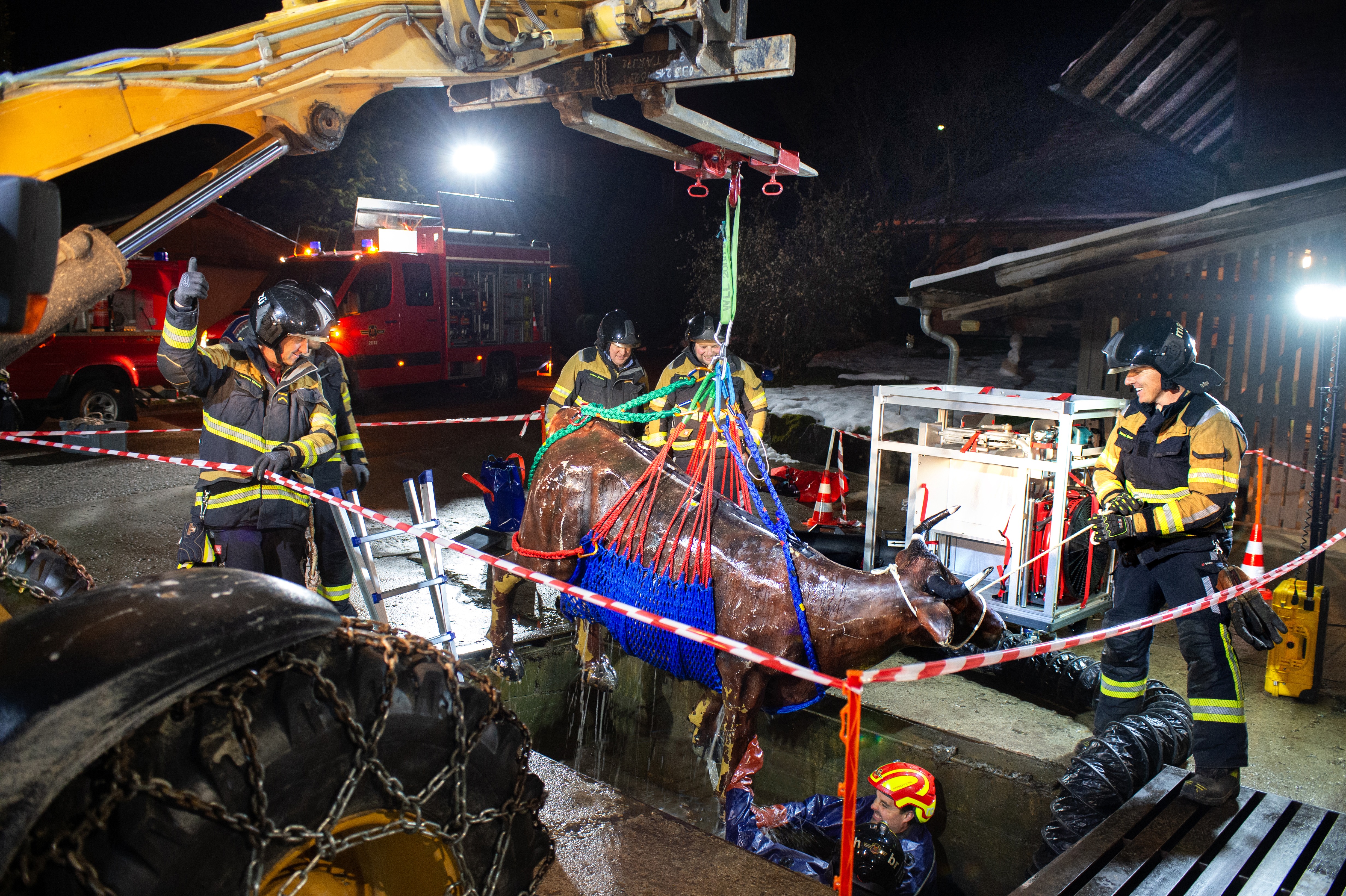 Wenn die Kuh im Güllenloch landet