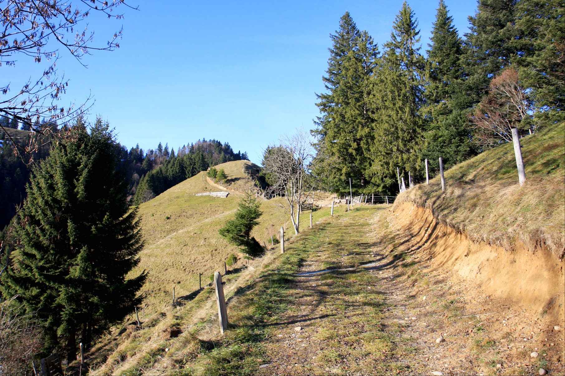 Dert, wo aube d Piuger düre sy