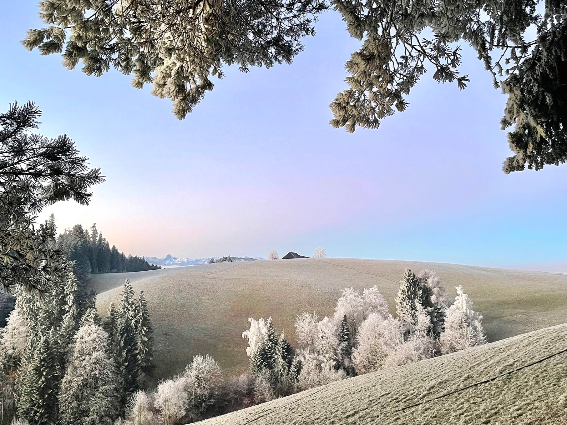 Auf ein neues Jahr mit Aussicht