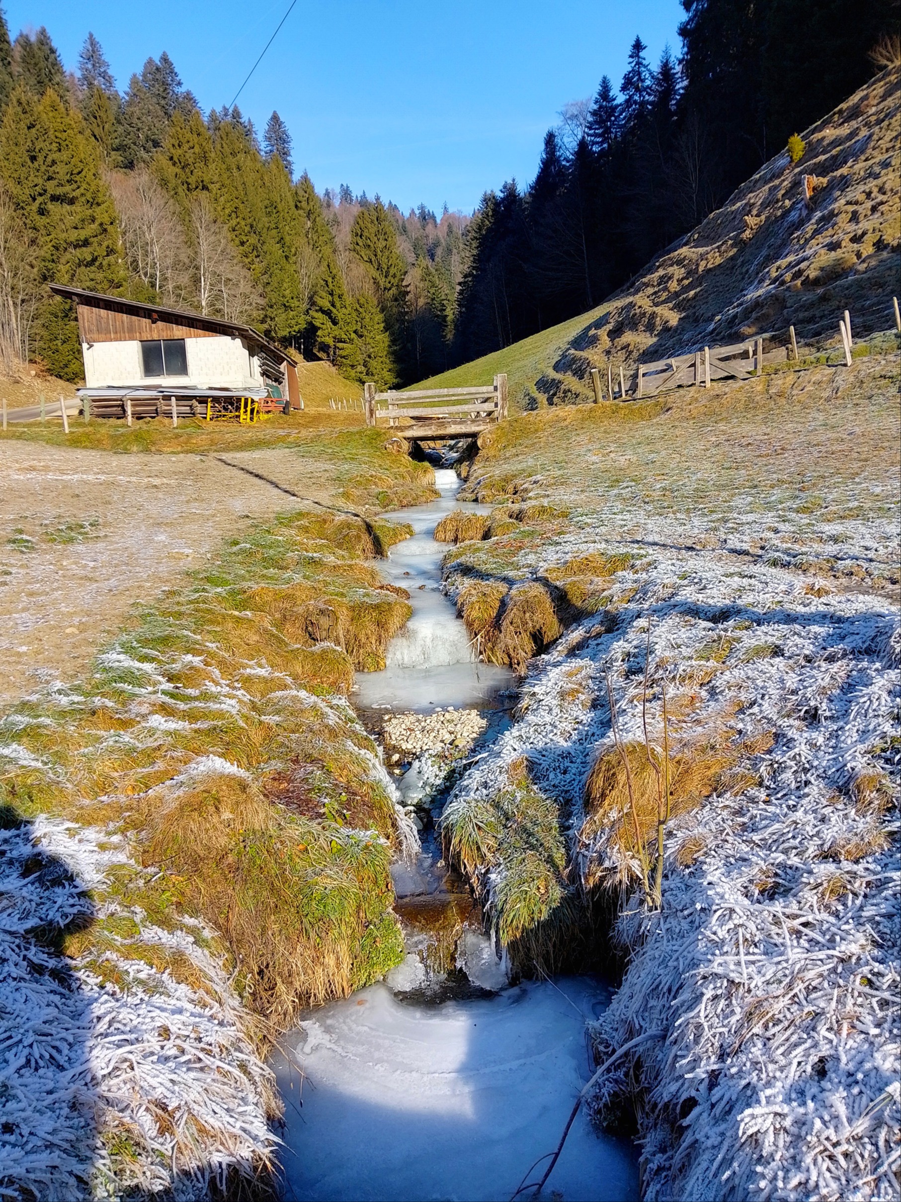 Säutene Ortsname u e schnäue Vogu