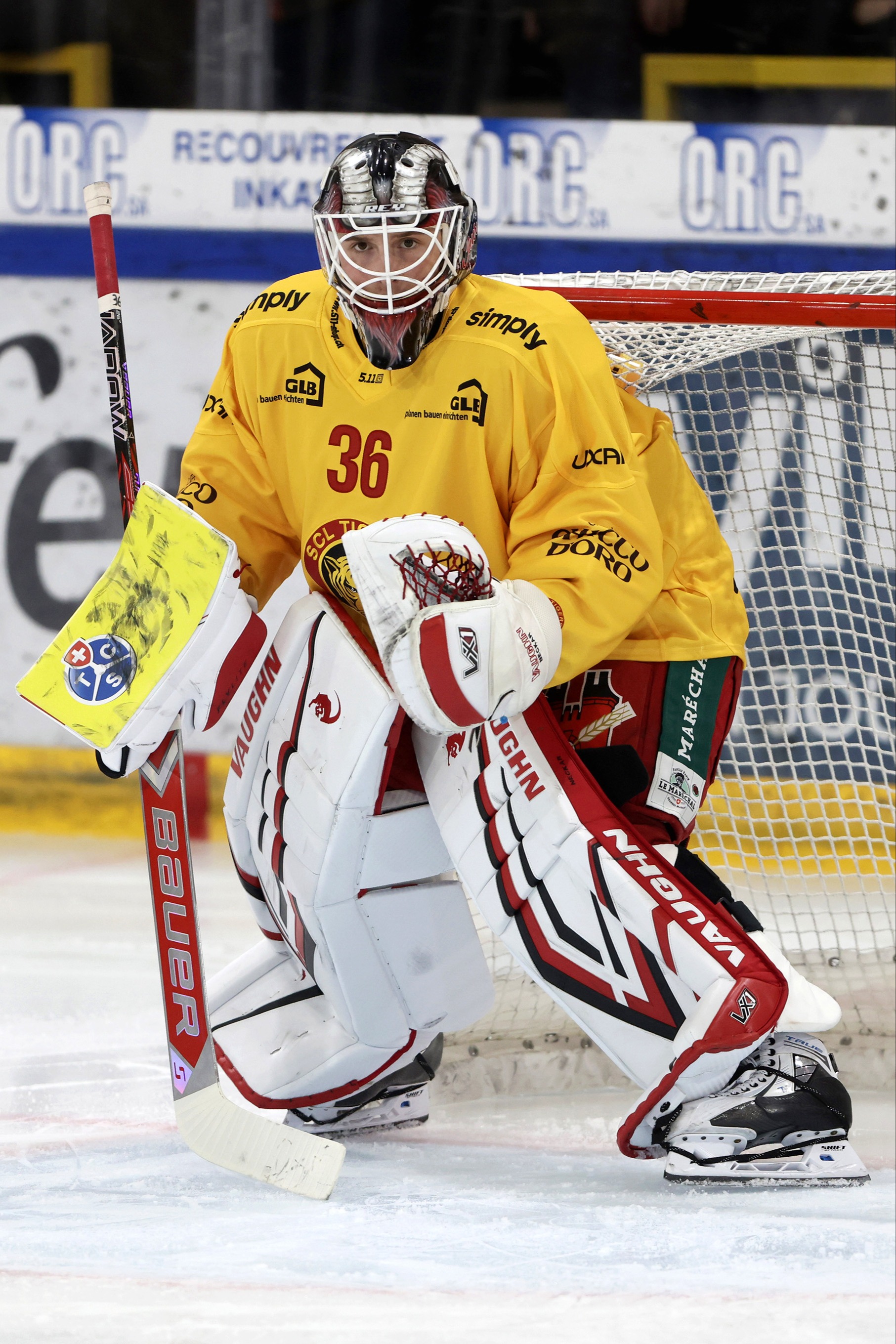 Der Traum von Olympia geht in Erfüllung