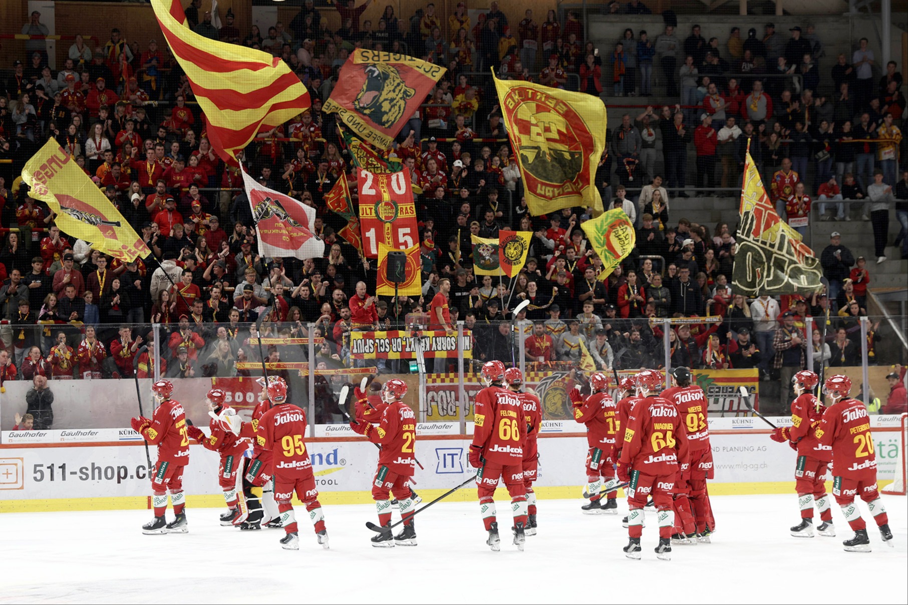  SCL Tigers in Zahlen