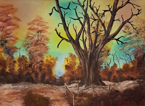 «Meine Bilder sind echt und zeigen die echte Natur»