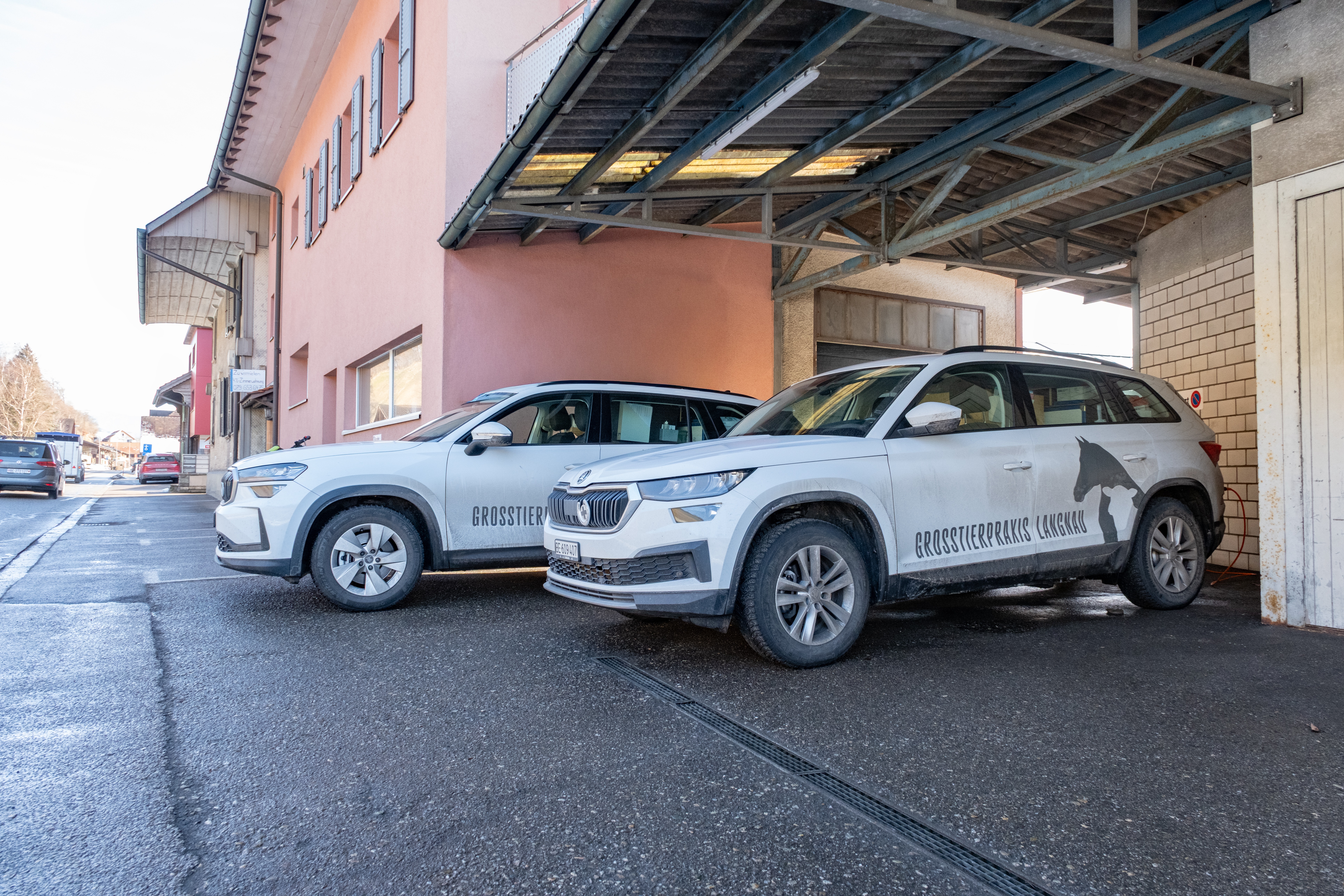 Tierärzte haben sich neu organisiert