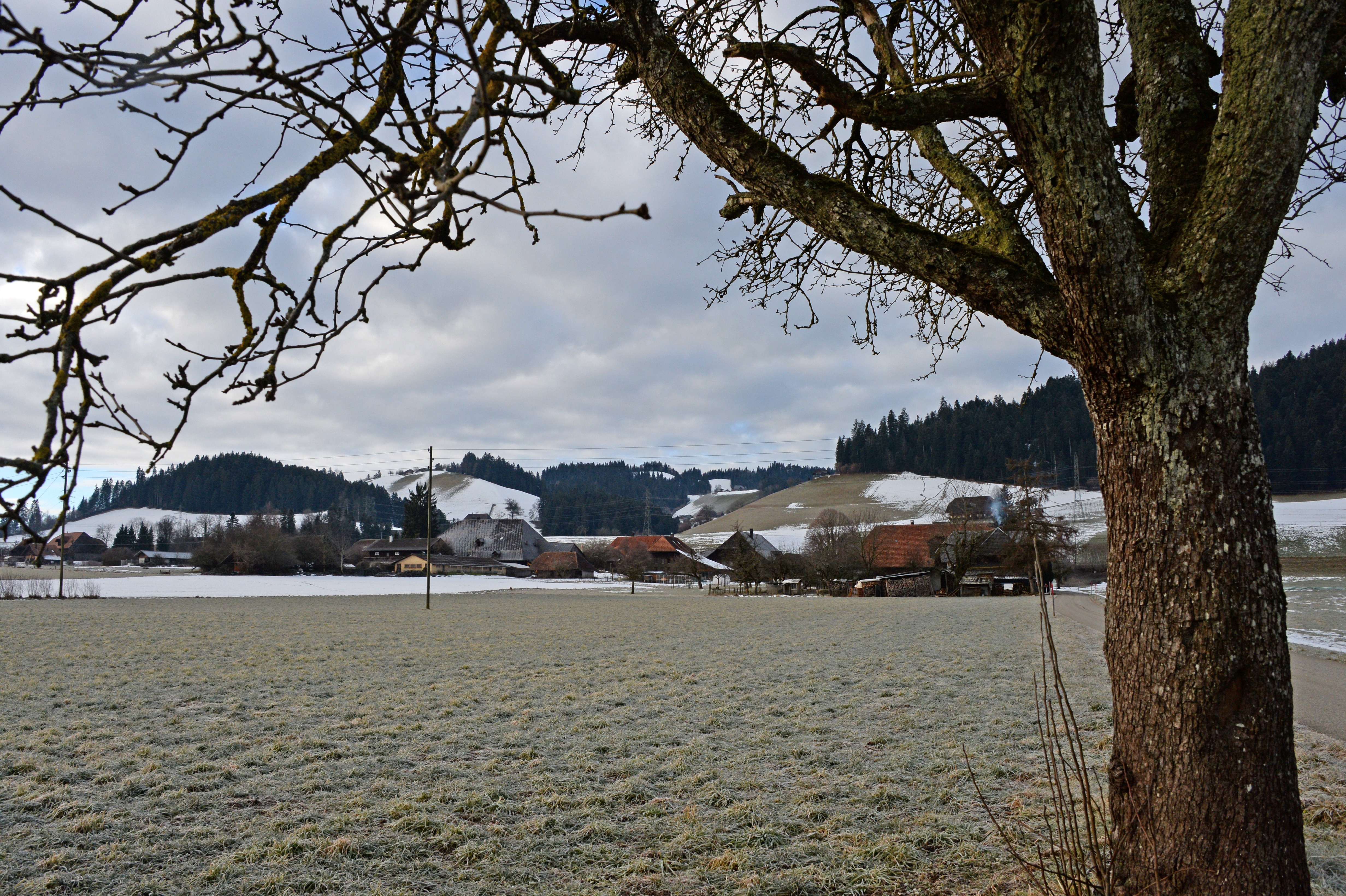 Was i Ortsnäme  aues läng cha sy