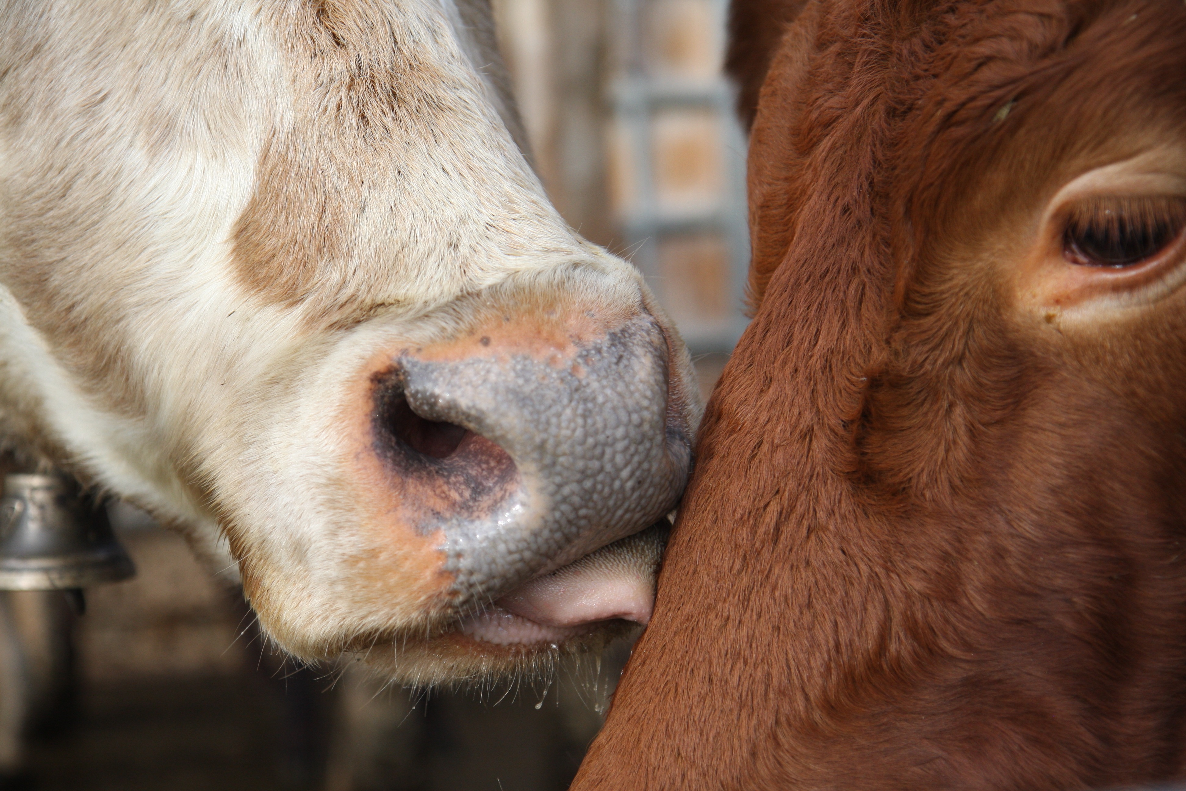 Sehr unterschiedliche Symptome – aber oft erhebliche Folgen