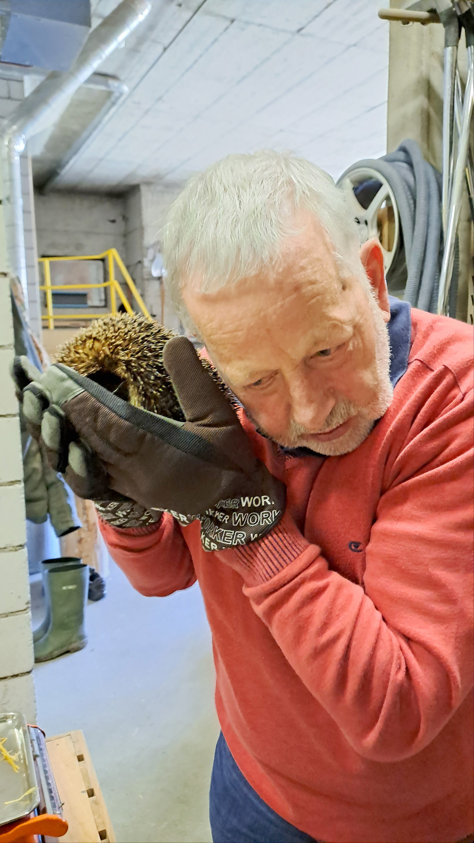 Freund der stachligen Geschöpfe