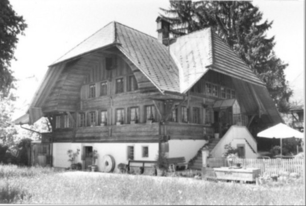 Wo eine z Afrika  isch ga Houz choufe 