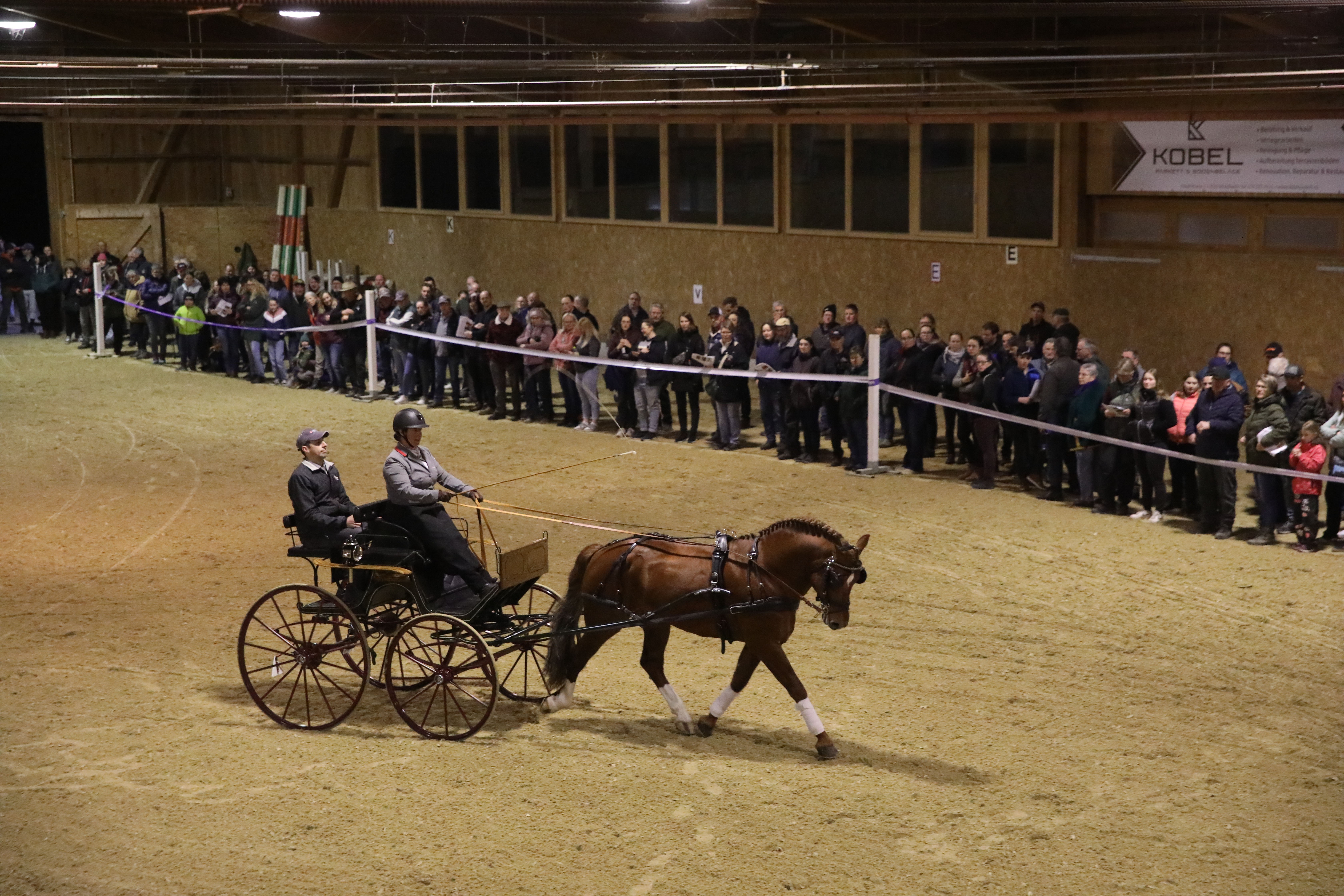 Vier Freiberger-Hengste für die Deckstation