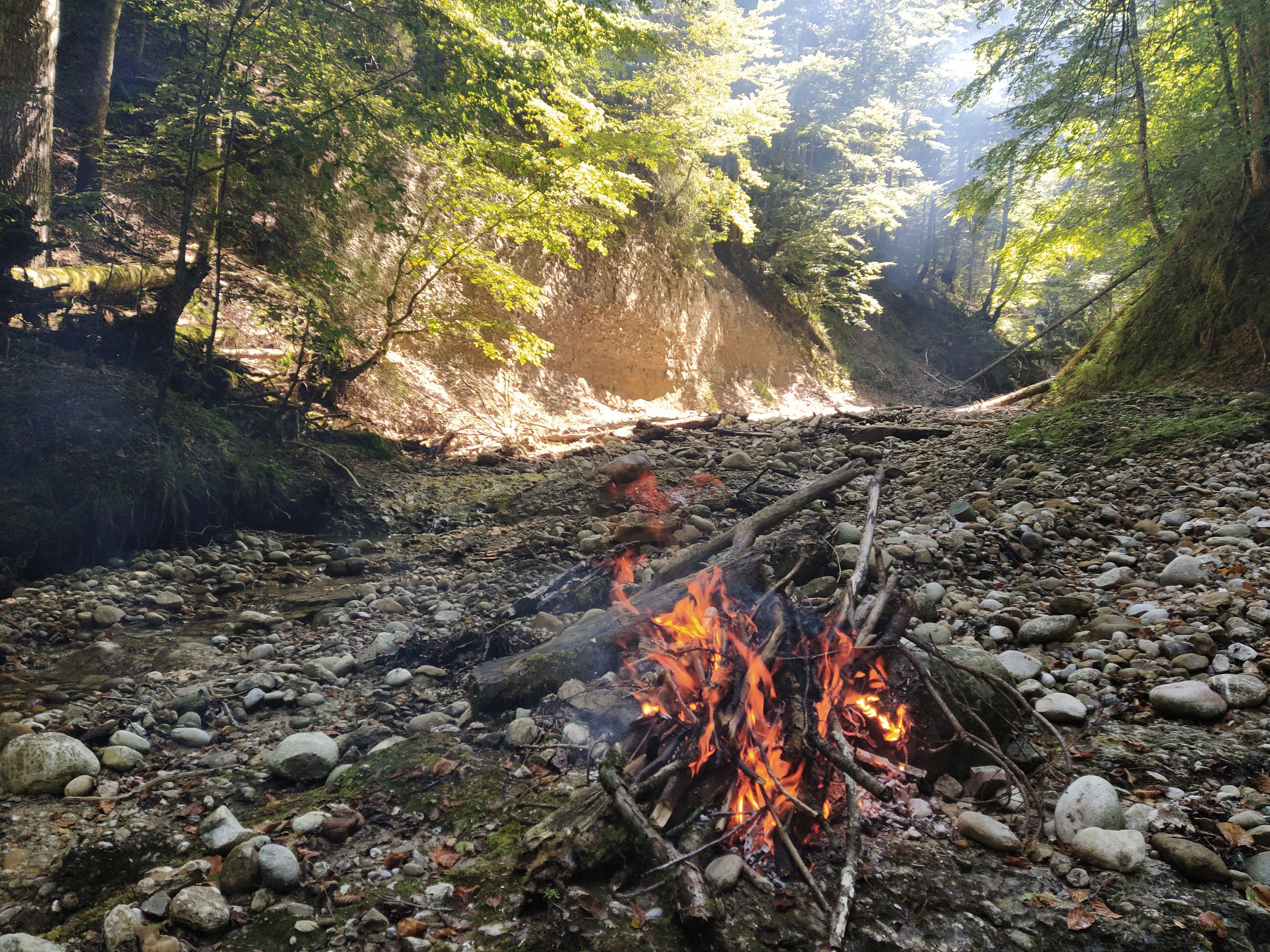 Im schattigen Bachbett