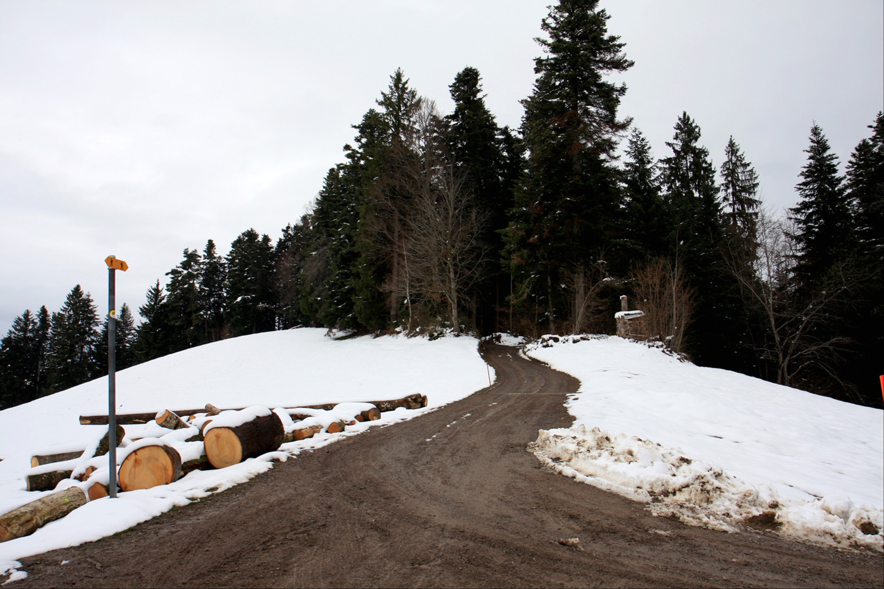 Ein Ja und ein Moratorium