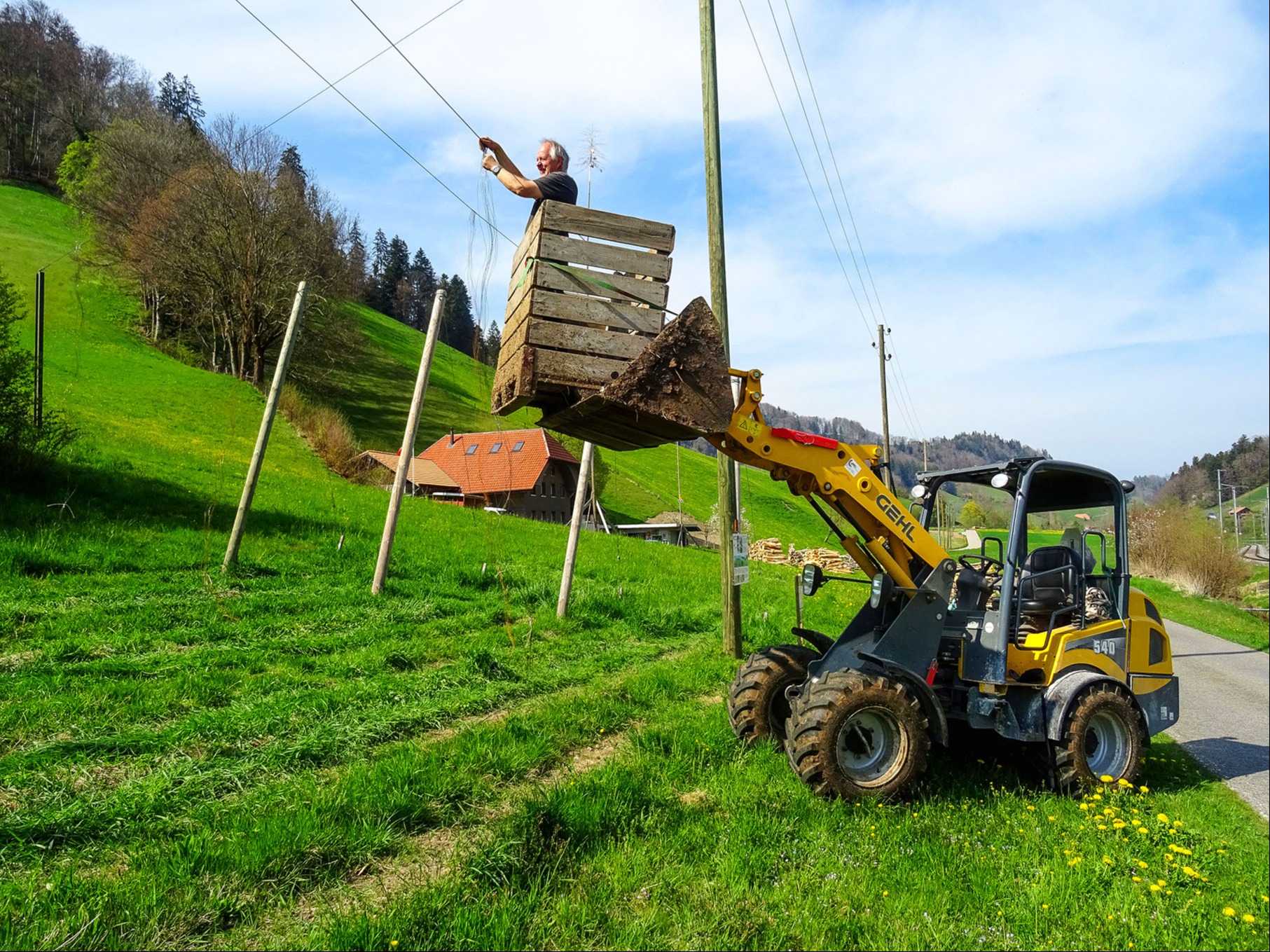 Hopfen im Emmental – «Die Pflanze interessierte mich einfach» 