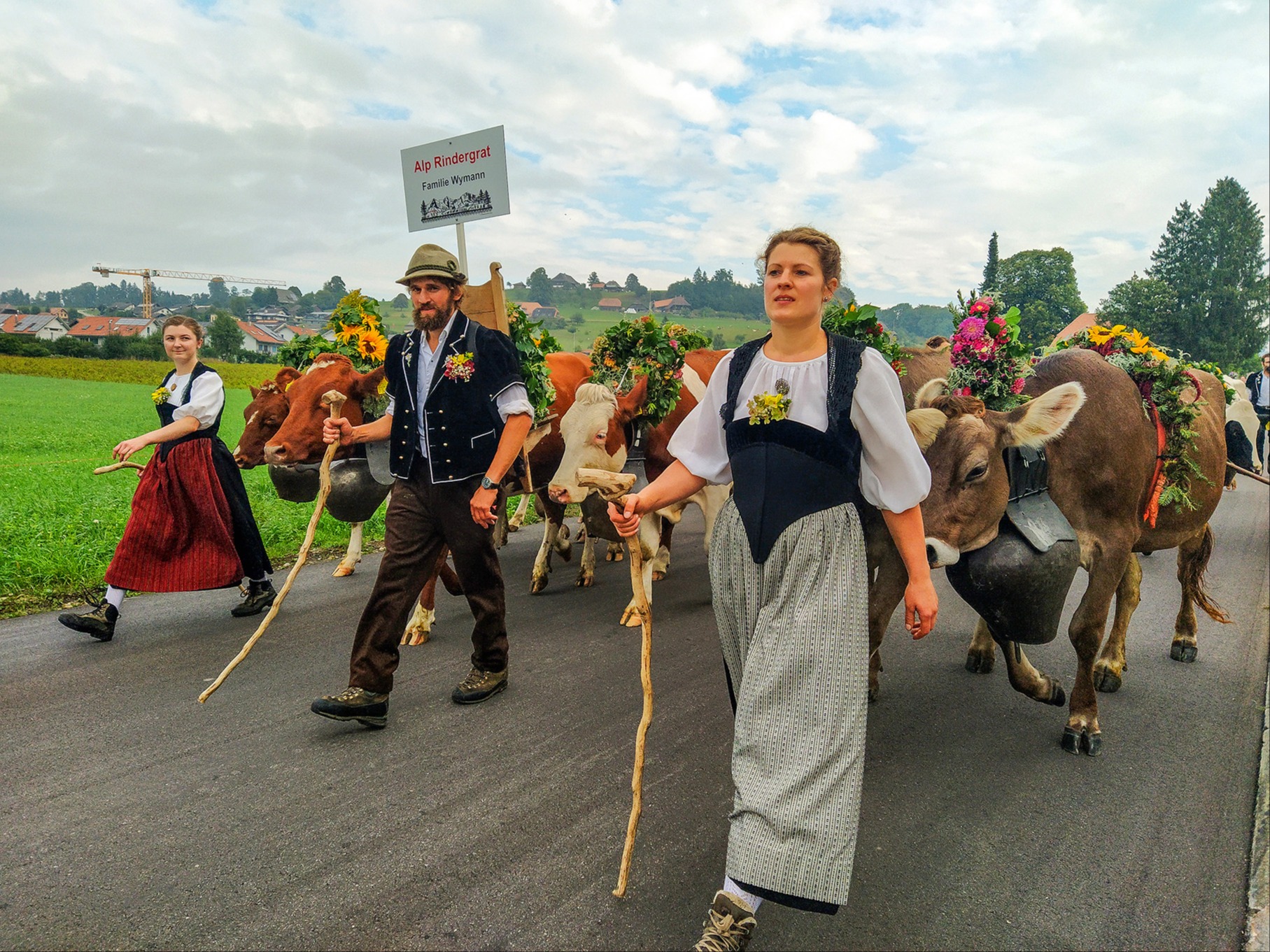 Sömmerungsrinder kehrten zurück