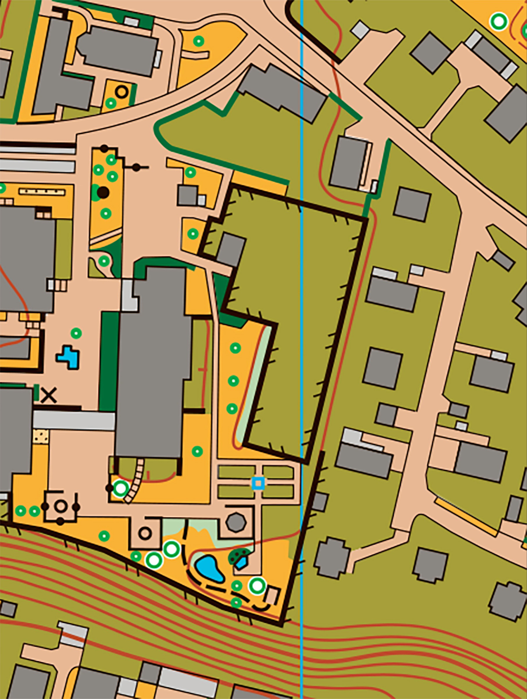 Sprint-OL mitten in Langnau