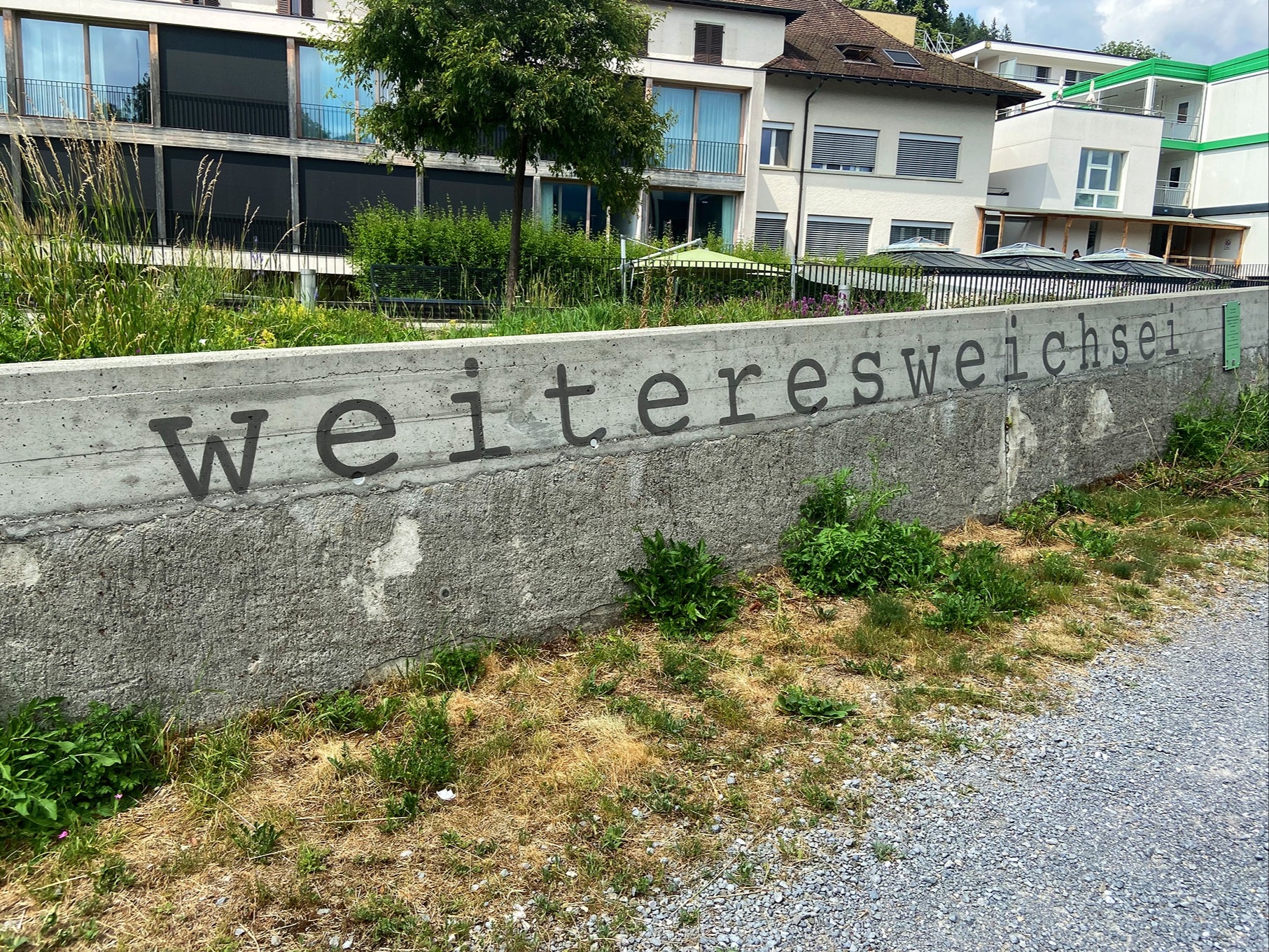 Er schrieb über die grasgrünen Kühe