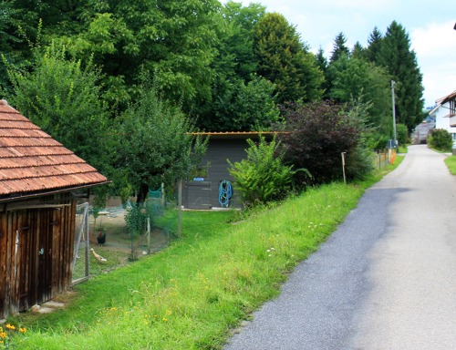 Zu viele neue Bretter am alten Hühnerhaus?