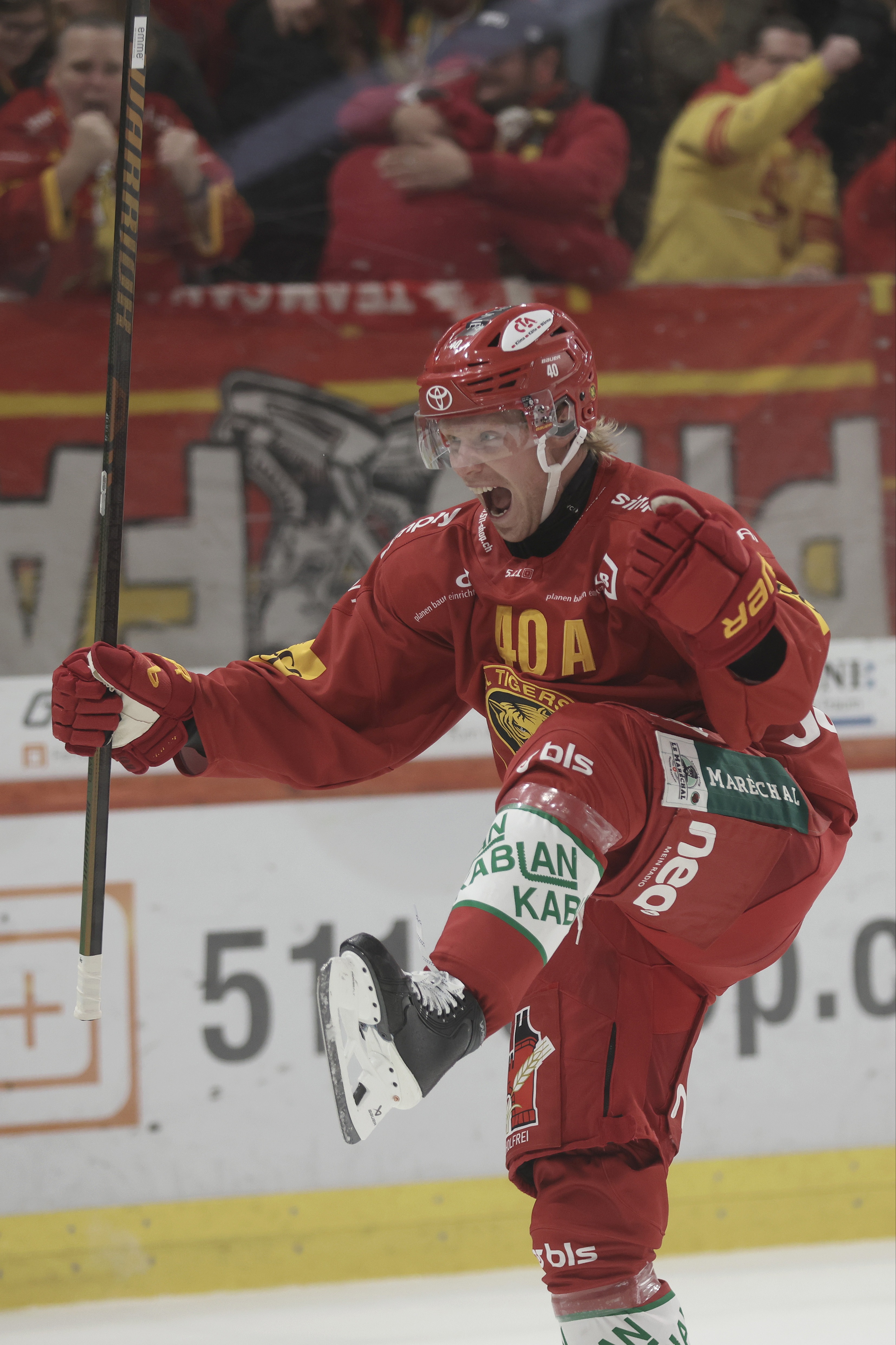 Tigers bejubeln elf Tore in zwei Spielen