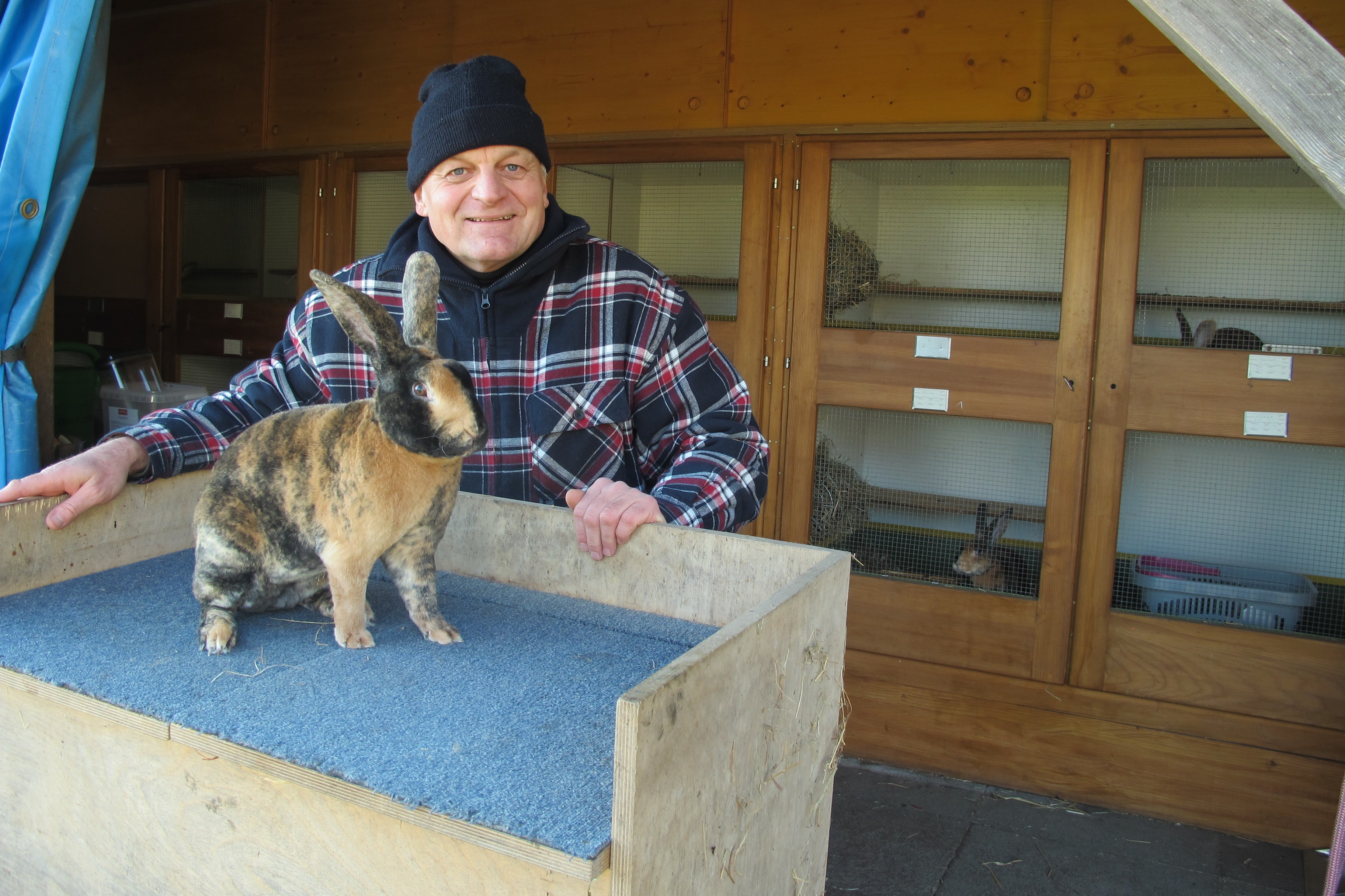 Verlust von Vielfalt droht – Züchter von Kaninchen & Co. sind besorgt