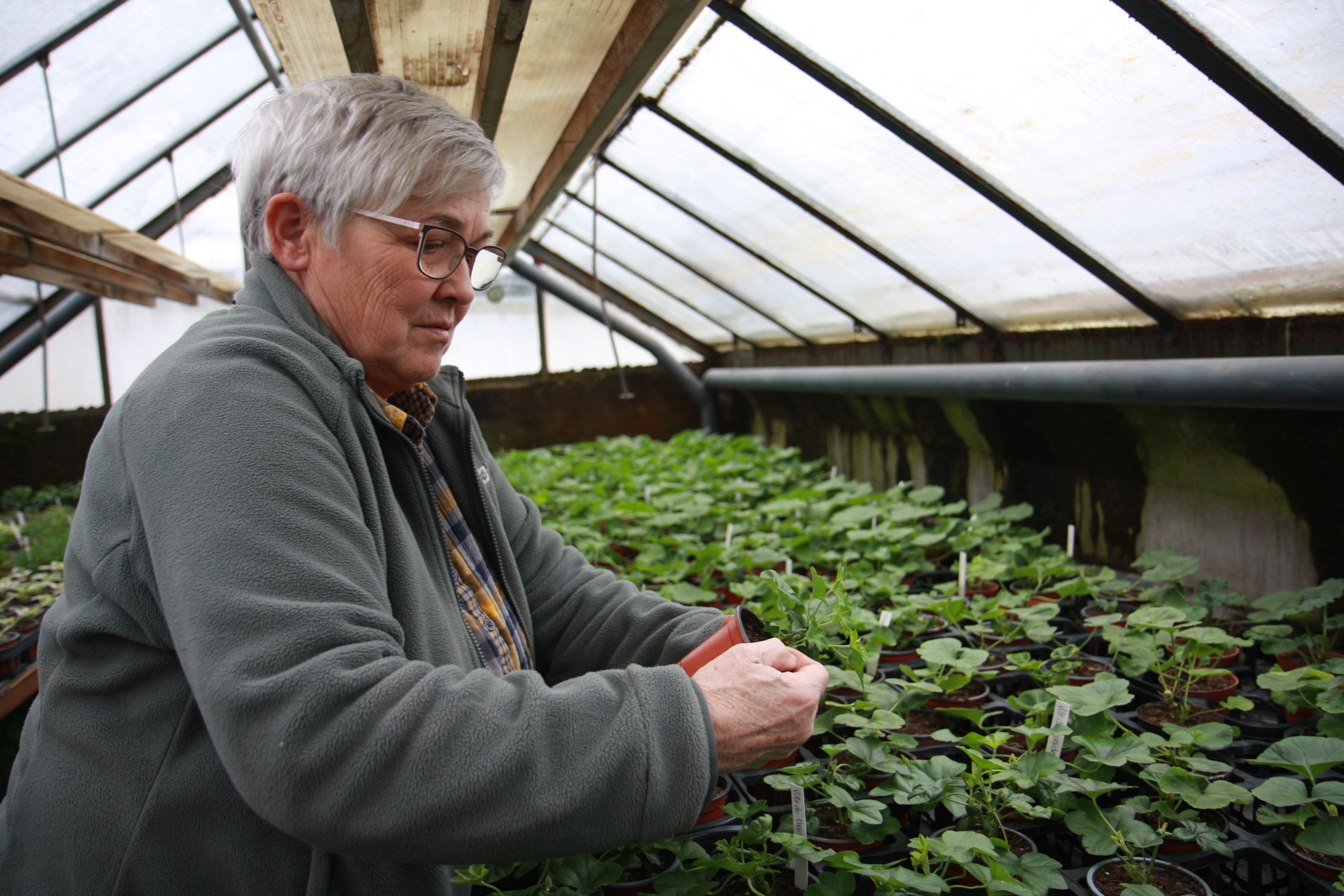 Damit es im Sommer blüht vor dem Haus 
