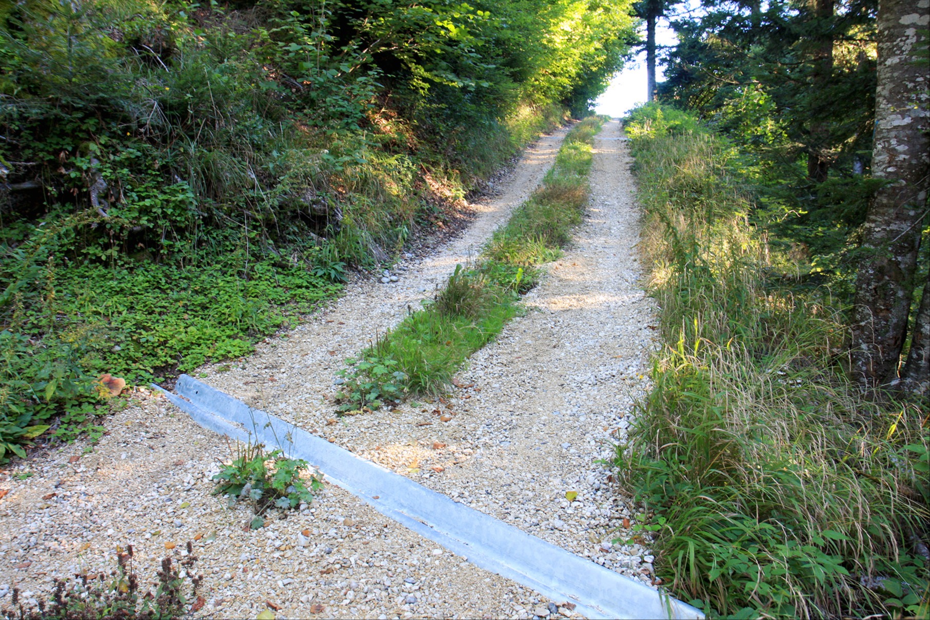Wenn das Wegrecht zu Streitereien führt