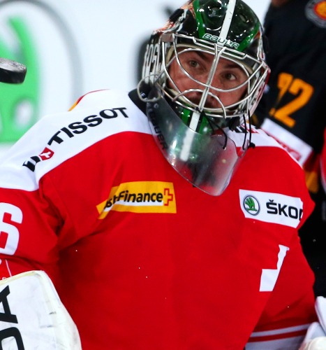 SCL Tigers-Rückspiegel