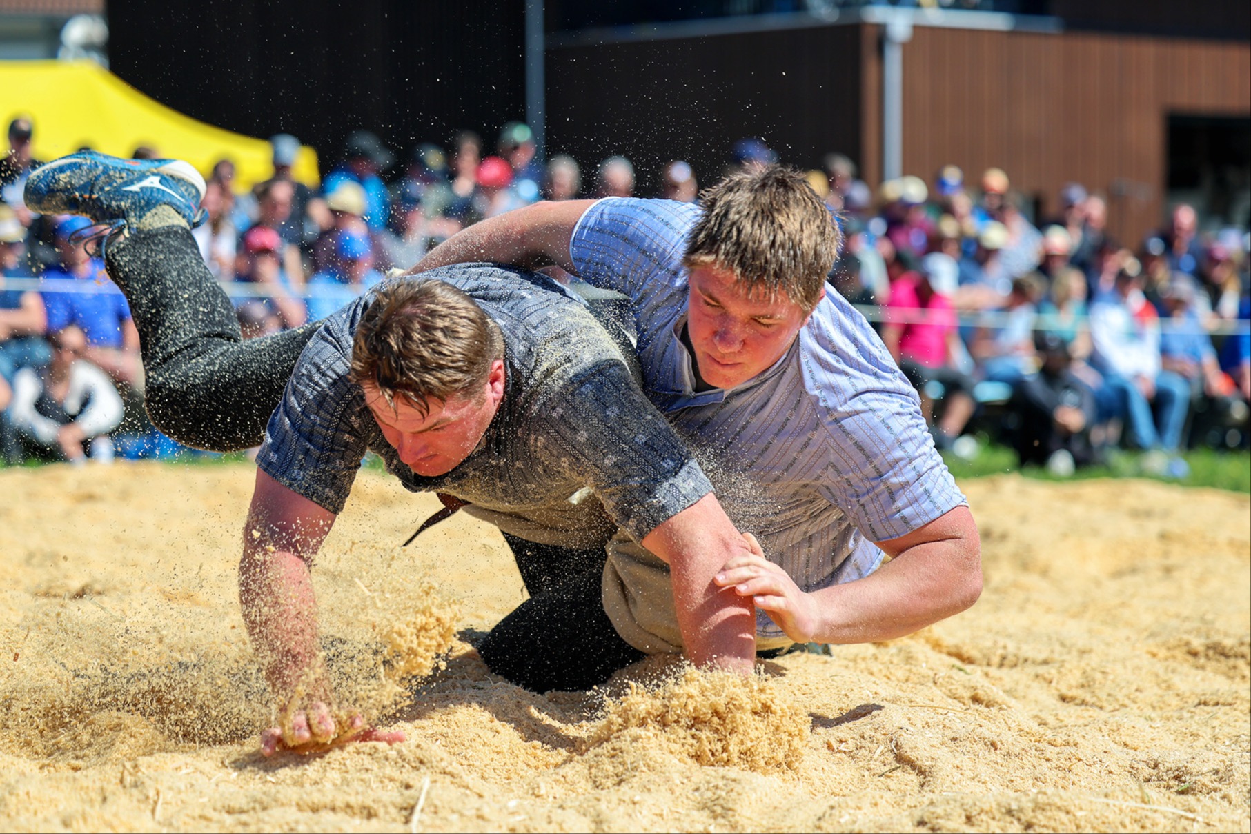 Unterschiedliche Formkurven