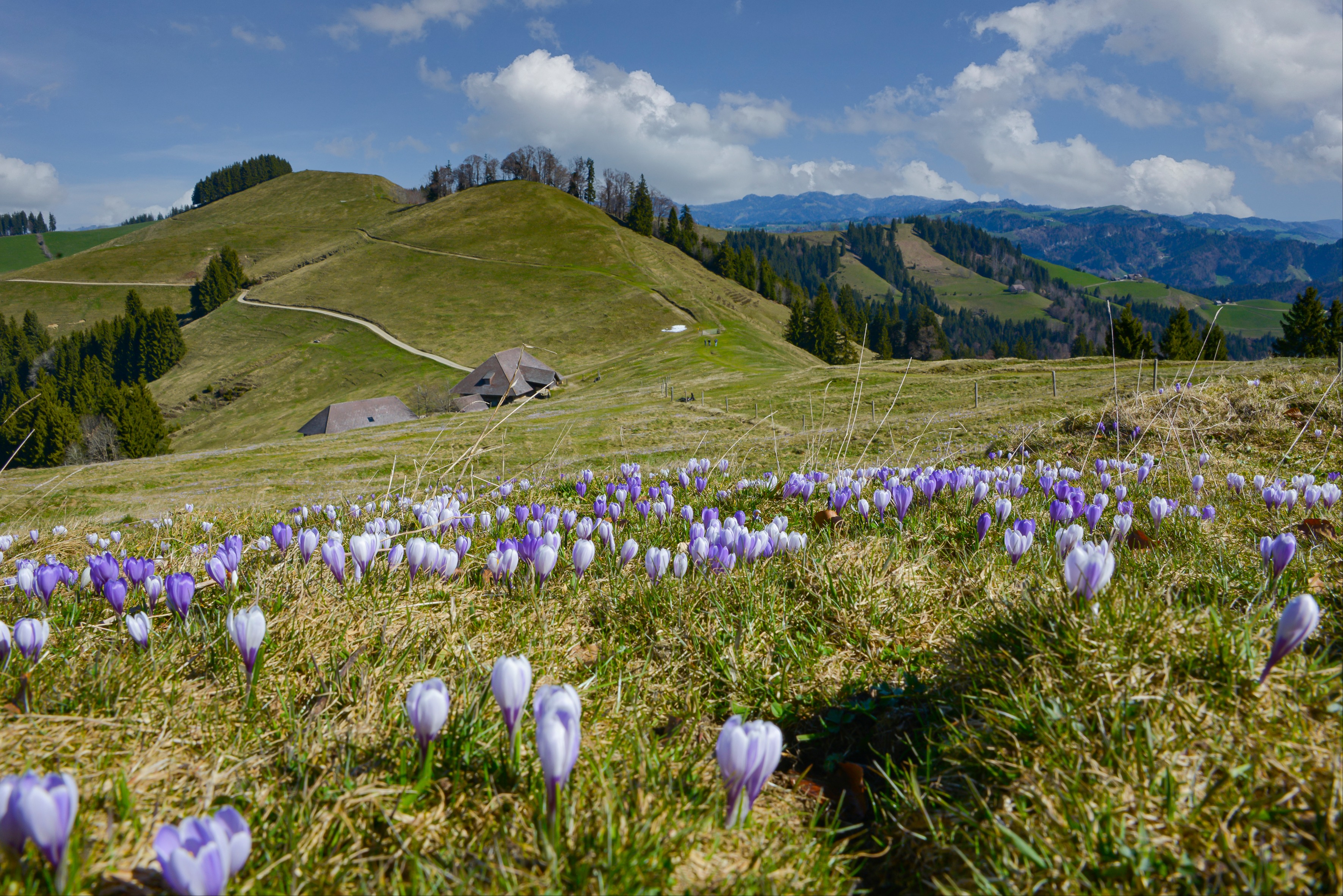Prachtvoll und flüchtig